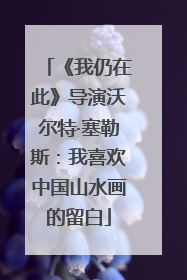 《我仍在此》导演沃尔特·塞勒斯：我喜欢中国山水画的留白