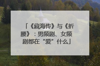 《藏海传》与《折腰》：男频剧、女频剧都在“爱”什么