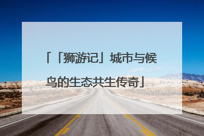 「狮游记」城市与候鸟的生态共生传奇