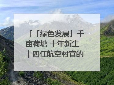 「绿色发展」千亩荷塘 十年新生｜四任航空村官的“生态接力”