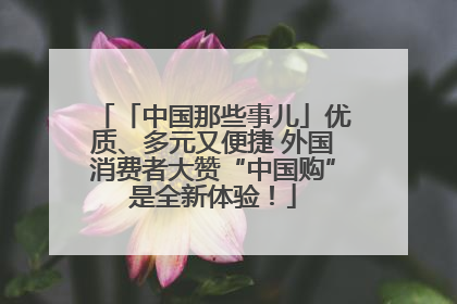 「中国那些事儿」优质、多元又便捷 外国消费者大赞“中国购”是全新体验！