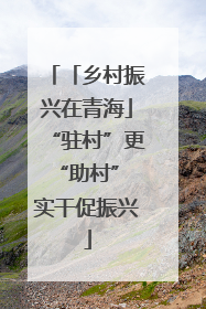 「乡村振兴在青海」“驻村”更“助村” 实干促振兴