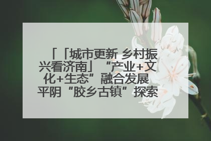 「城市更新 乡村振兴看济南」“产业+文化+生态”融合发展 平阴“胶乡古镇”探索振兴路径成效显著