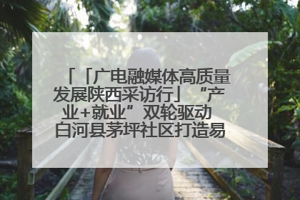 「广电融媒体高质量发展陕西采访行」“产业+就业”双轮驱动 白河县茅坪社区打造易地搬迁后扶新样本