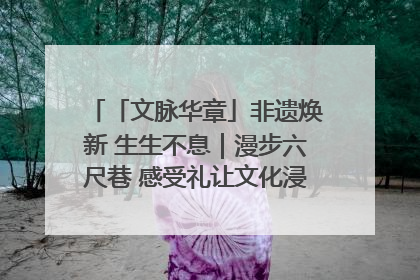 「文脉华章」非遗焕新 生生不息｜漫步六尺巷 感受礼让文化浸润的“巷”往生活