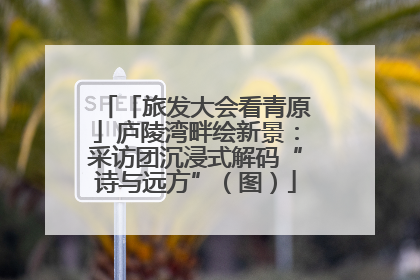 「旅发大会看青原」庐陵湾畔绘新景：采访团沉浸式解码“诗与远方”（图）