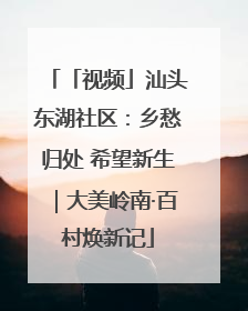 「视频」汕头东湖社区：乡愁归处 希望新生｜大美岭南·百村焕新记