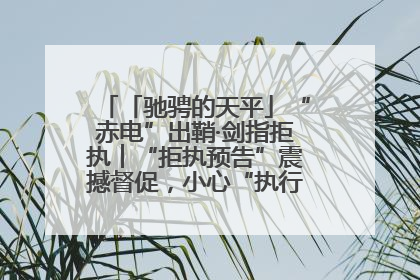 「驰骋的天平」“赤电”出鞘·剑指拒执︱“拒执预告”震撼督促，小心“执行”变“执刑”