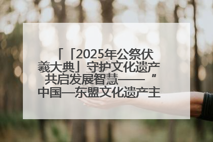 「2025年公祭伏羲大典」守护文化遗产 共启发展智慧——“中国—东盟文化遗产主题对话”侧记