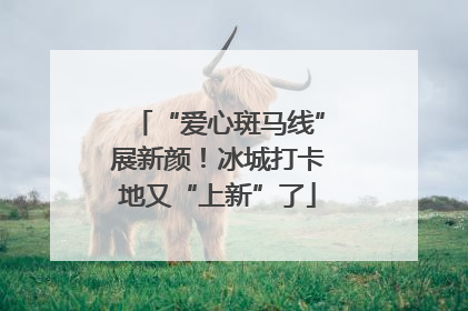 “爱心斑马线”展新颜！冰城打卡地又“上新”了