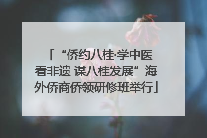 “侨约八桂·学中医 看非遗 谋八桂发展”海外侨商侨领研修班举行