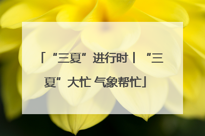 “三夏”进行时丨“三夏”大忙 气象帮忙