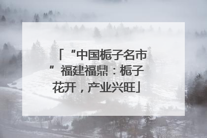 “中国栀子名市”福建福鼎：栀子花开，产业兴旺