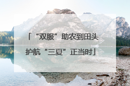 “双服”助农到田头 护航“三夏”正当时