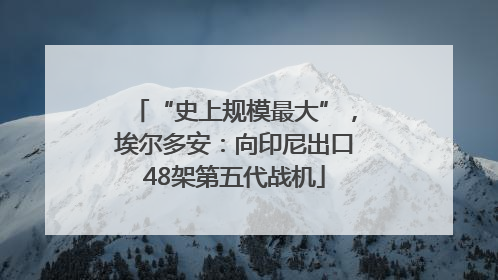 “史上规模最大”，埃尔多安：向印尼出口48架第五代战机
