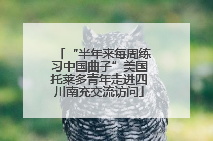 “半年来每周练习中国曲子”美国托莱多青年走进四川南充交流访问