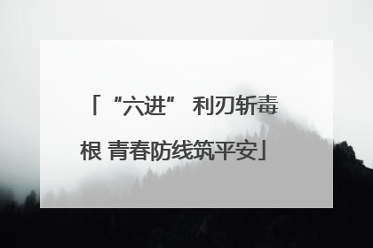 “六进” 利刃斩毒根 青春防线筑平安