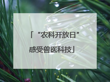 “农科开放日” 感受兽医科技