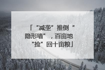 “减垄”推倒“隐形墙”，百亩地“捡”回十亩粮