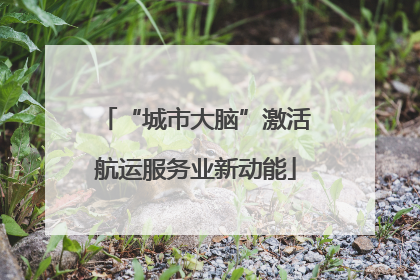 “城市大脑”激活航运服务业新动能