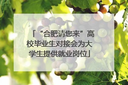 “合肥请您来”高校毕业生对接会为大学生提供就业岗位