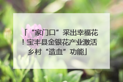 “家门口”采出幸福花！宝丰县金银花产业激活乡村“造血”功能