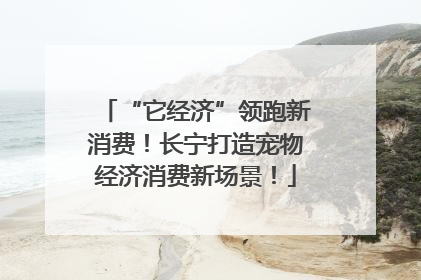 “它经济”领跑新消费！长宁打造宠物经济消费新场景！