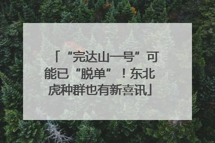 “完达山一号”可能已“脱单”！东北虎种群也有新喜讯