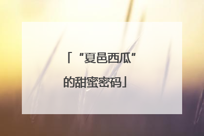 “夏邑西瓜”的甜蜜密码