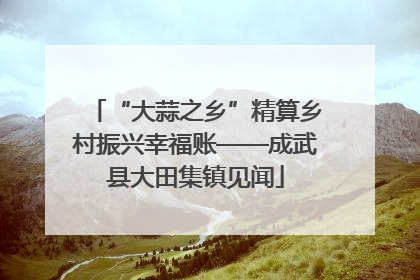 “大蒜之乡”精算乡村振兴幸福账——成武县大田集镇见闻