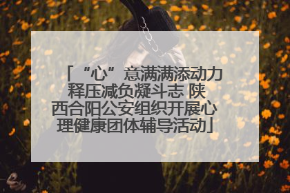 “心”意满满添动力 释压减负凝斗志 陕西合阳公安组织开展心理健康团体辅导活动