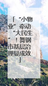 “小物业”牵动“大民生”！舞钢市基层治理显成效