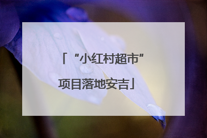 “小红村超市”项目落地安吉