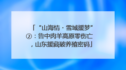 “山海情・雪域援梦”②：鲁中肉羊高原零伤亡，山东援藏破养殖密码