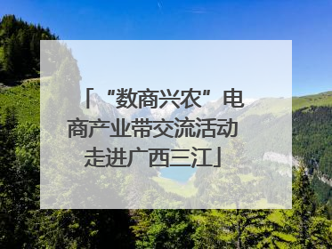 “数商兴农”电商产业带交流活动走进广西三江