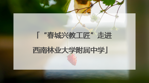 “春城兴教工匠”走进西南林业大学附属中学