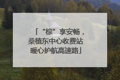 “棕”享安畅，桑植东中心收费站暖心护航高速路