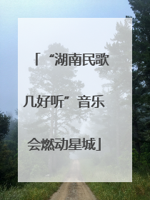 “湖南民歌几好听”音乐会燃动星城