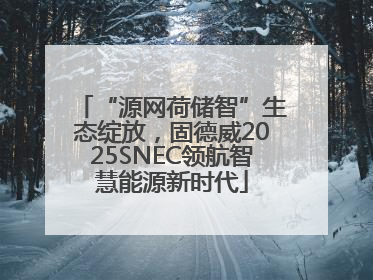 “源网荷储智”生态绽放，固德威2025SNEC领航智慧能源新时代