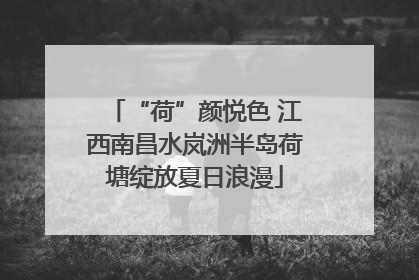 “荷”颜悦色 江西南昌水岚洲半岛荷塘绽放夏日浪漫