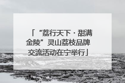 “荔行天下・甜满金陵”灵山荔枝品牌交流活动在宁举行