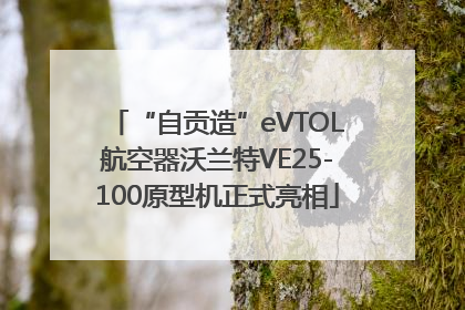 “自贡造”eVTOL航空器沃兰特VE25-100原型机正式亮相
