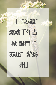 “苏超”燃动千年古城 跟着“苏超”游扬州
