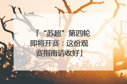 “苏超”第四轮即将开赛：这份观赛指南请收好