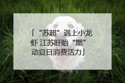 “苏超”遇上小龙虾 江苏盱眙“燃”动夏日消费活力