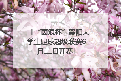 “茵浪杯”襄阳大学生足球超级联赛6月11日开赛
