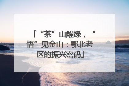 “茶”山醒绿，“悟”见金山：鄂北老区的振兴密码