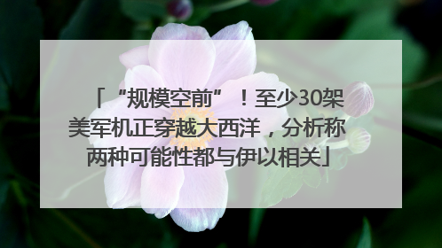 “规模空前”！至少30架美军机正穿越大西洋，分析称两种可能性都与伊以相关
