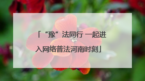 “豫”法同行 一起进入网络普法河南时刻