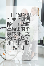 “酸苹果”变“甜酒酿”！盐源高原果的华丽转身，靠的是这场浙川千里“联姻”